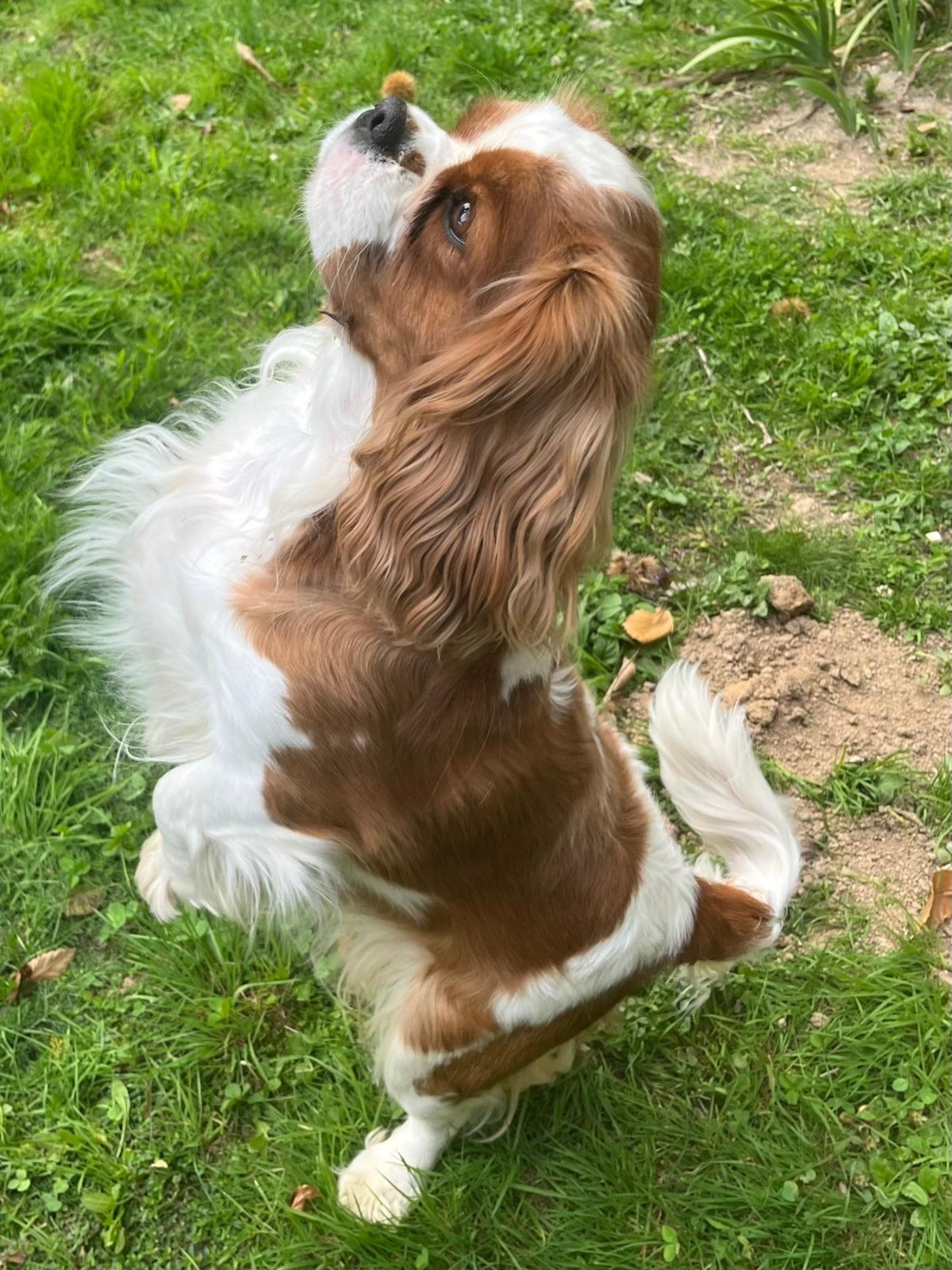 Des bébés pour début janvier